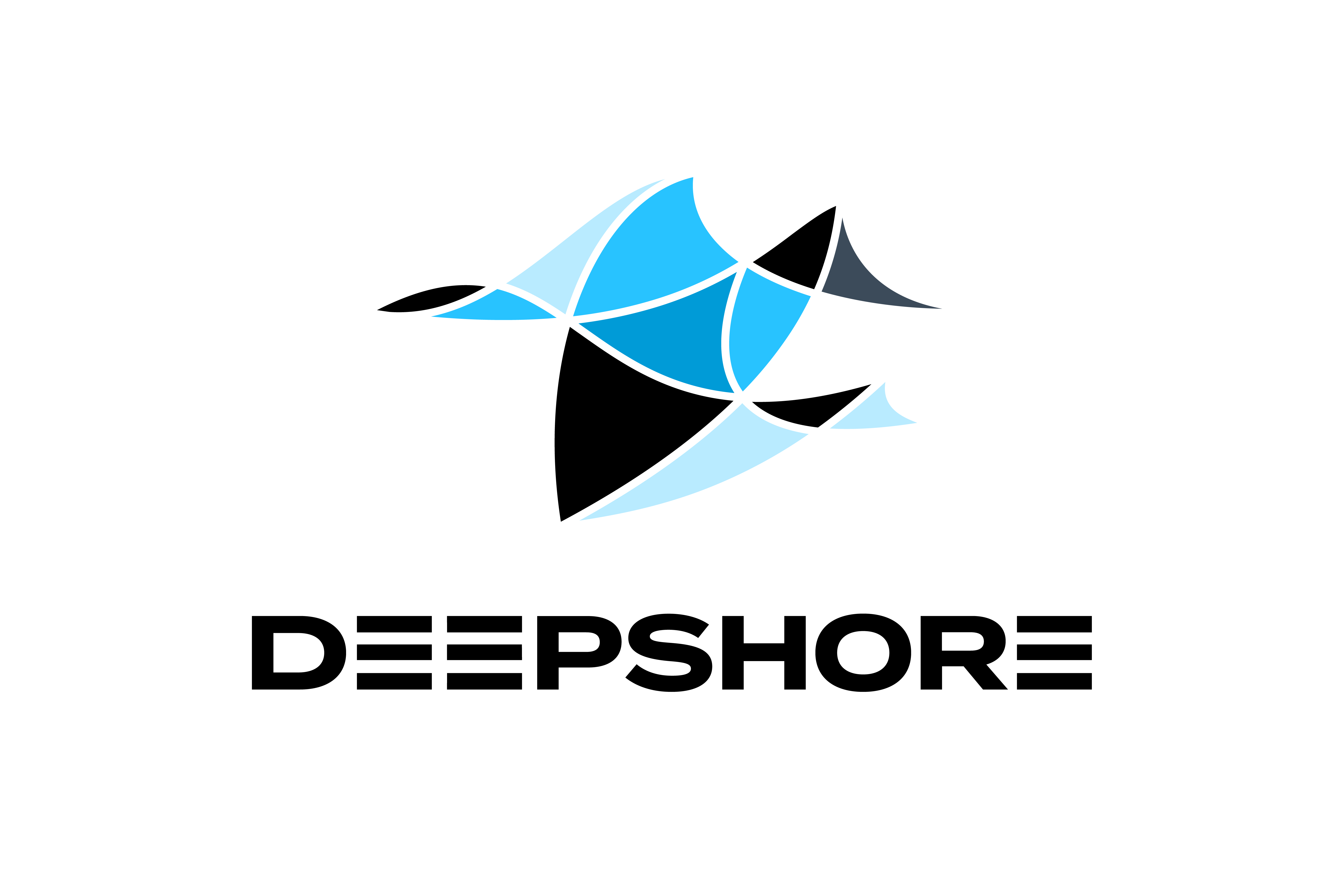 deepshore icon